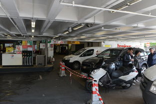 法國(guó)動(dòng)用國(guó)家戰(zhàn)略石油儲(chǔ)備應(yīng)對(duì)油荒的法律框架與影響